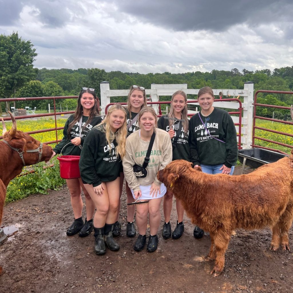 A group of six young people posing with two brown Highland cattle in a farm pen with wooden fencing.