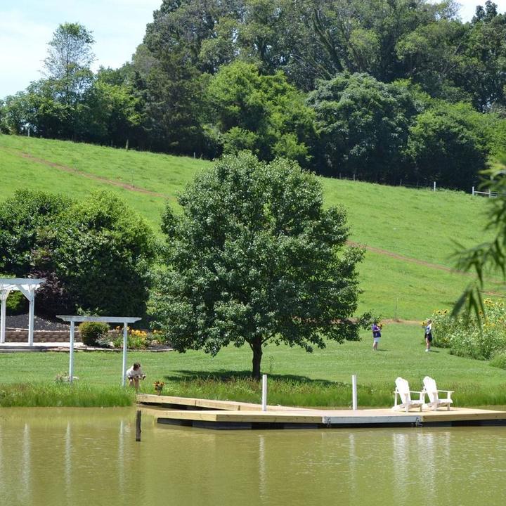 A pastoral waterfront scene with a wooden dock, green pasture, and tree-lined hillside under blue sky.
