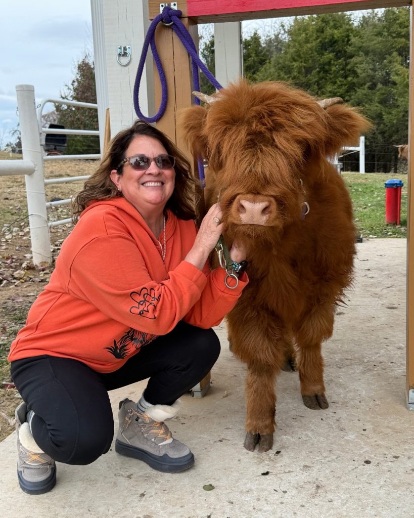 A woman in an orange shirt crouches beside a brown Highland cow wearing a halter in a farm setting.