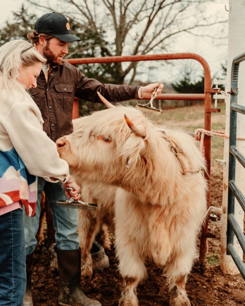 A man and woman stand with a long-haired tan goat near a red metal gate on a farm.
