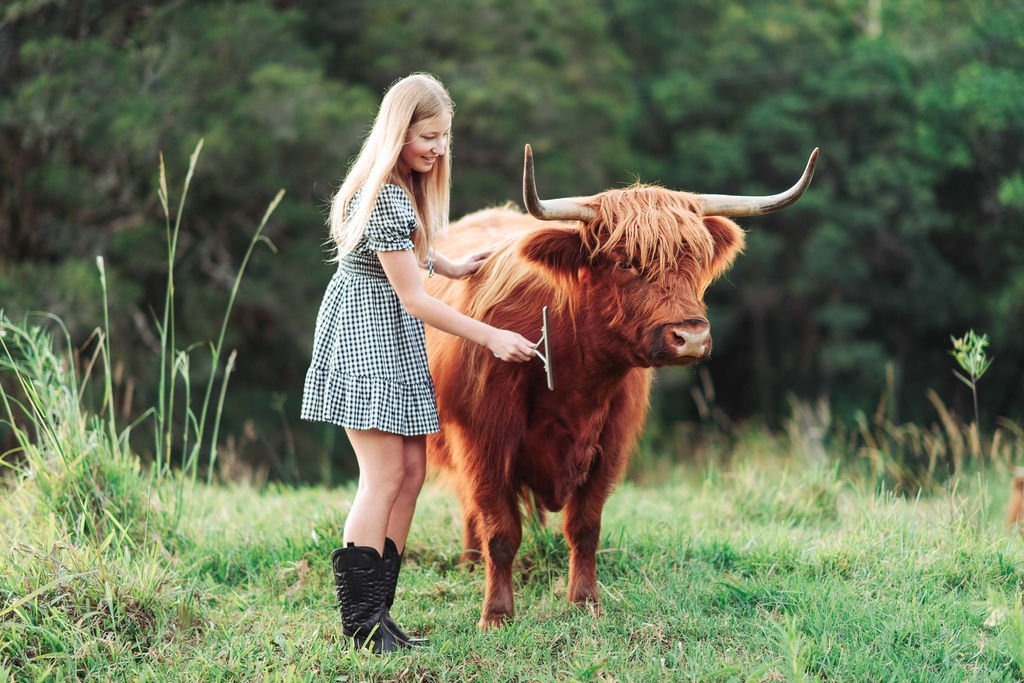 A young girl with long blonde hair pets a brown Highland cow in a grassy pasture.