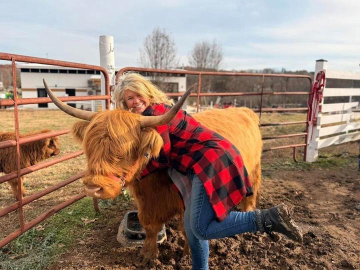 A woman in a red plaid shirt hugs a brown Highland cow in a rural farm pen.