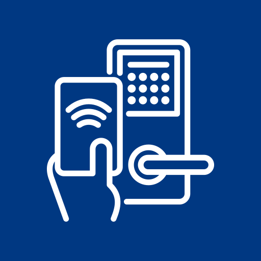 Electronic locks icon