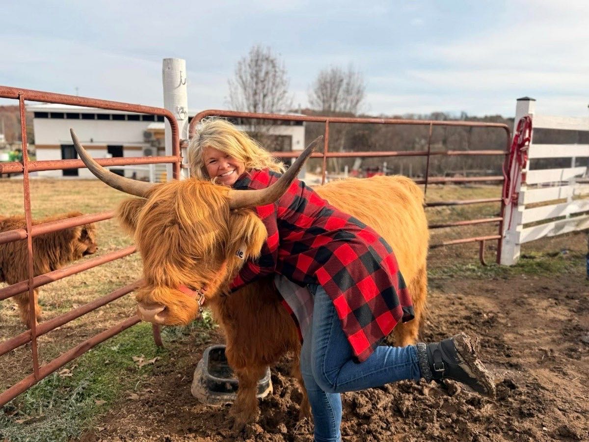 Bride hugging a Scottish Highland cow at Cedar Pond Farms