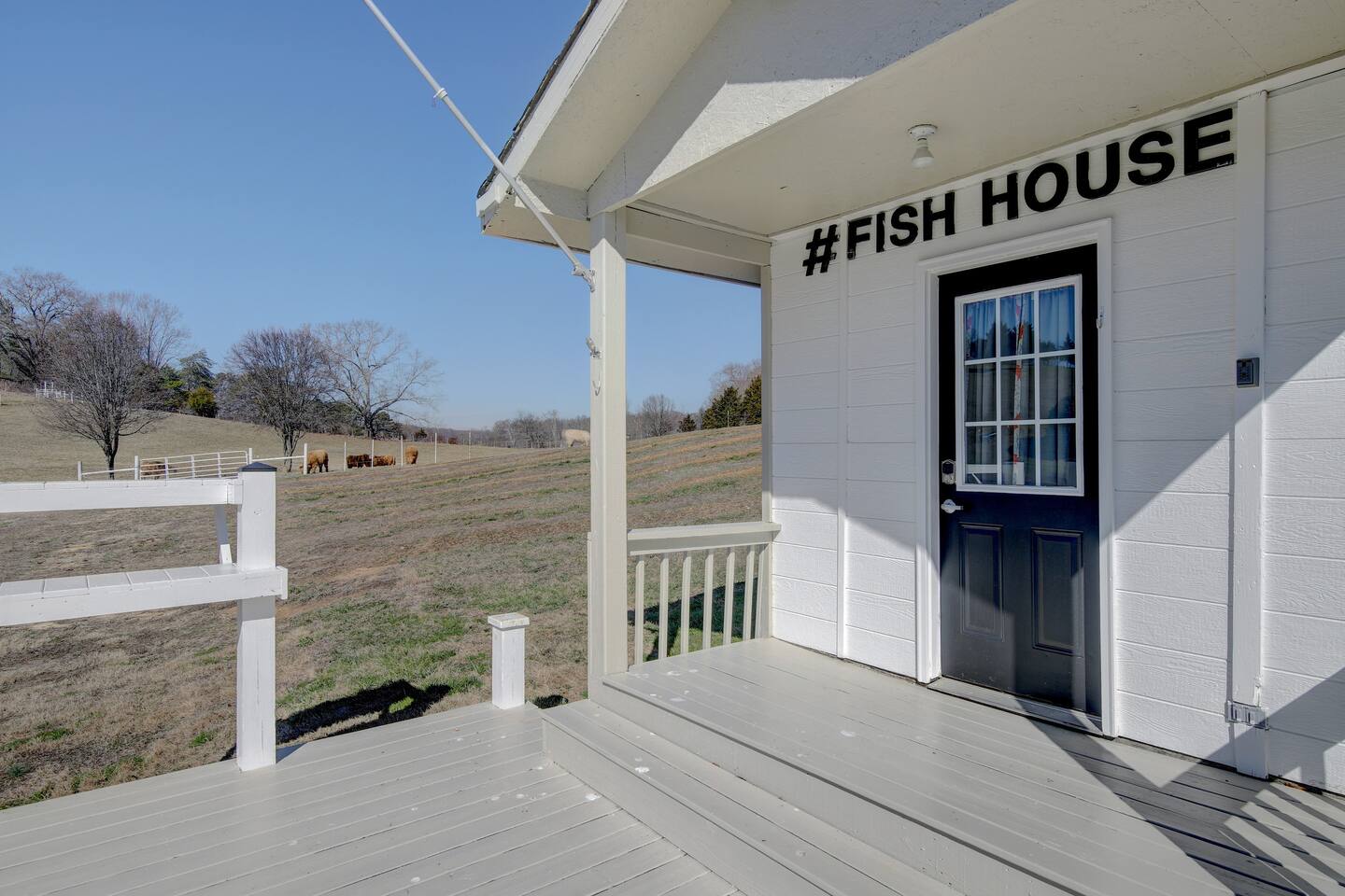 FishHouse Tiny Home at Cedar Pond Farms in New Market — a lakeside tiny home on a working farm with Scottish Highland cattle.